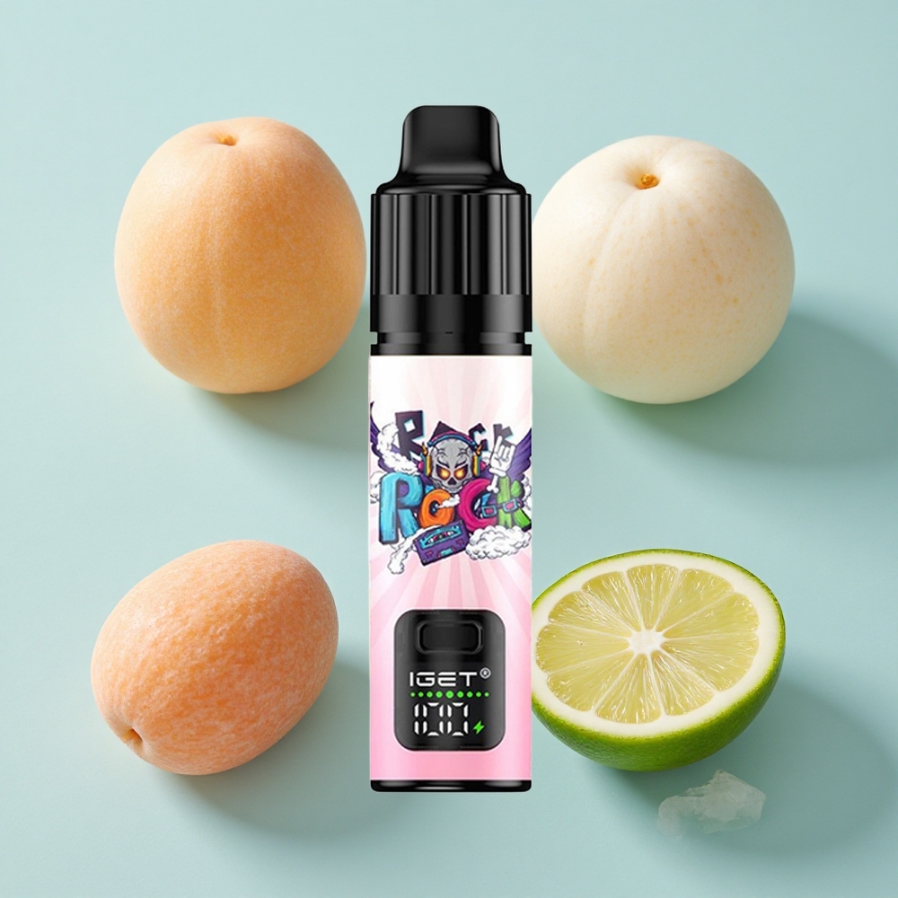 IGET BAR PLUS S3 POD 10000 Puffs Pfirsich Litschi Limette Eis vape großhandel Deutschland