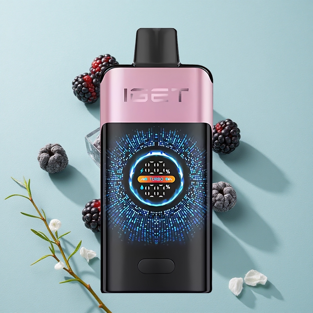 IGET ONE 12000 Puffs Einweg-Vape Brombeer-Eis mit 2700 mAh Akku vape großhandel Deutschland