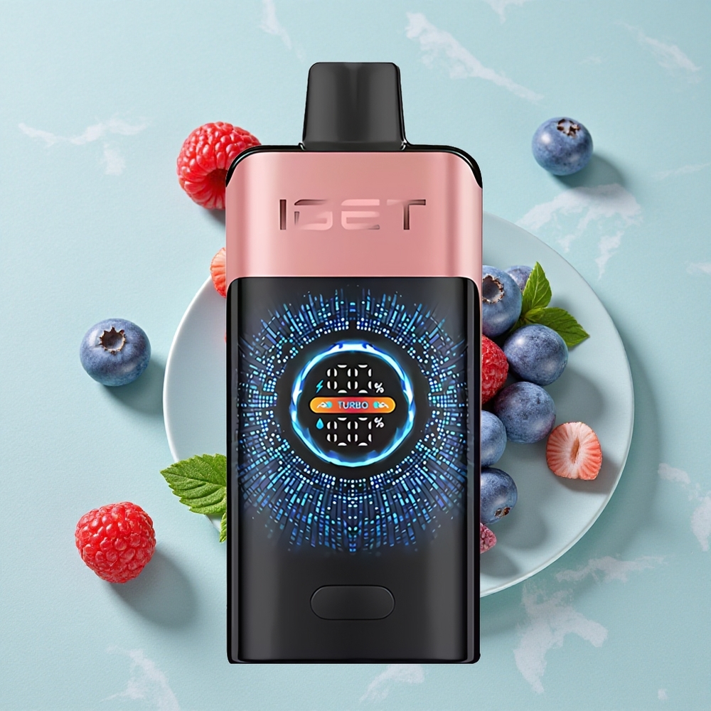 IGET ONE 12000 Puffs Heidelbeere Himbeere Einweg-Vape mit 2700 mAh Akku vape großhandel Deutschland