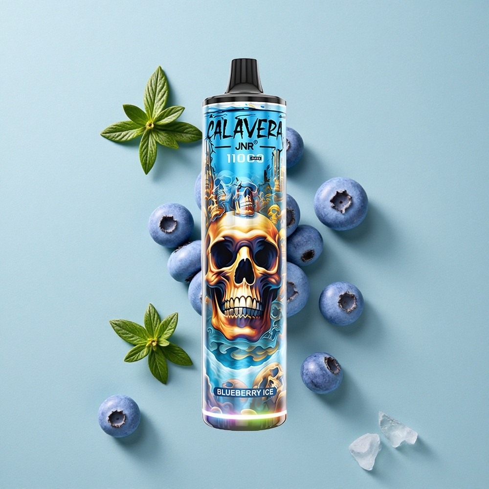 JNR Calavera 11000 Puffs Blaubeer-Eis Einweg-Vape Typ-C Ladeanschluss vape großhandel Deutschland