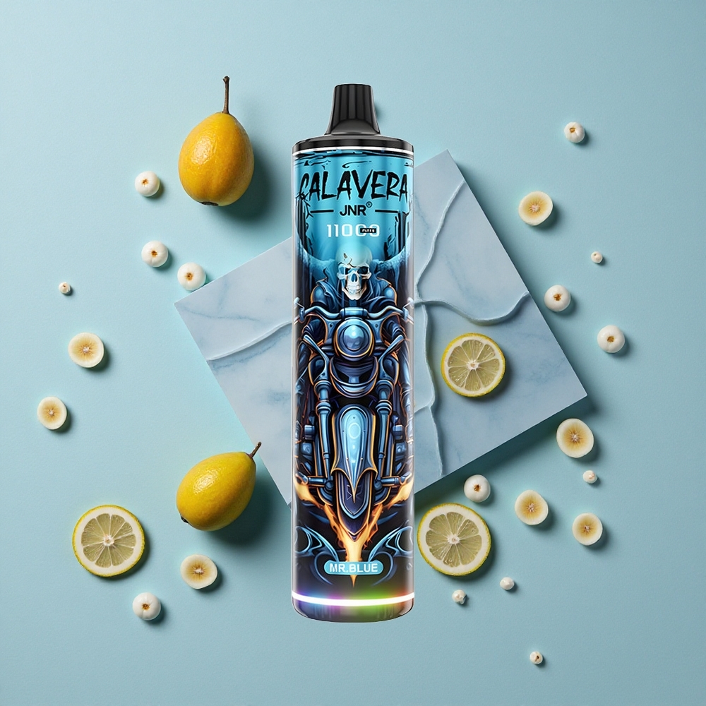 JNR Calavera 11000 Puffs Einweg-Vape Herr Blau Typ-C Ladung 21ml E-Liquid vape großhandel Deutschland