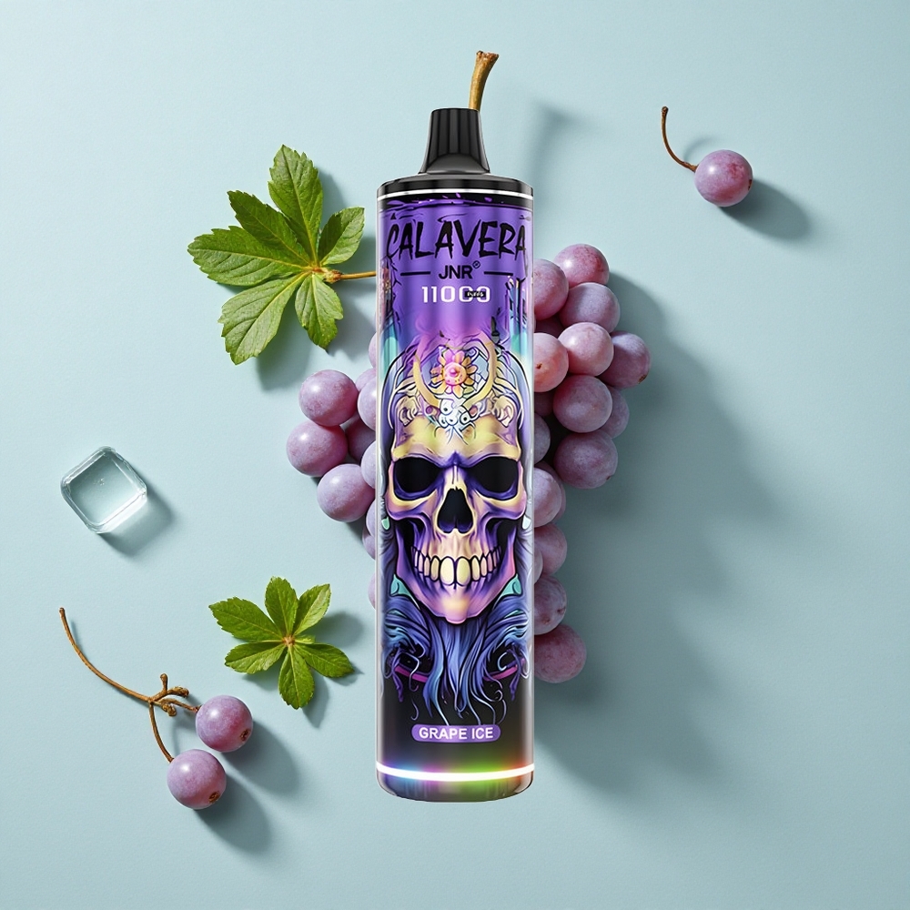 JNR Calavera 11000 Puffs Grape Eis Typ-C Ladung 21ml vape großhandel Deutschland