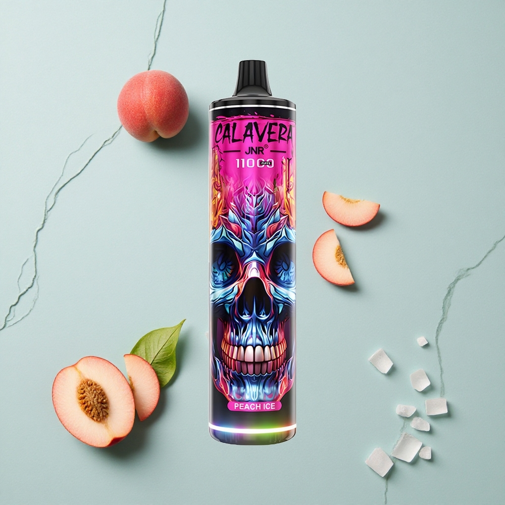 JNR Calavera 11000 Puffs Pfirsich Eis Typ-C Ladeanschluss 21ml E-Liquid vape großhandel Deutschland