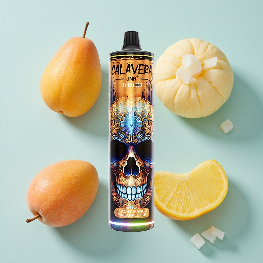JNR Calavera 11000 Puffs Pfirsich Mango Ananas Eis Typ-C Ladung vape großhandel Deutschland