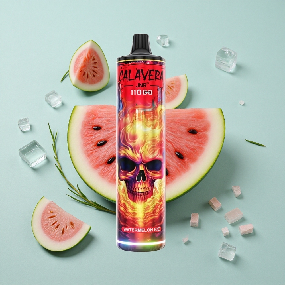 JNR Calavera 11000 Puffs Wassermelone-Eis Einweg-Vape Typ-C-Ladeanschluss vape großhandel Deutschland