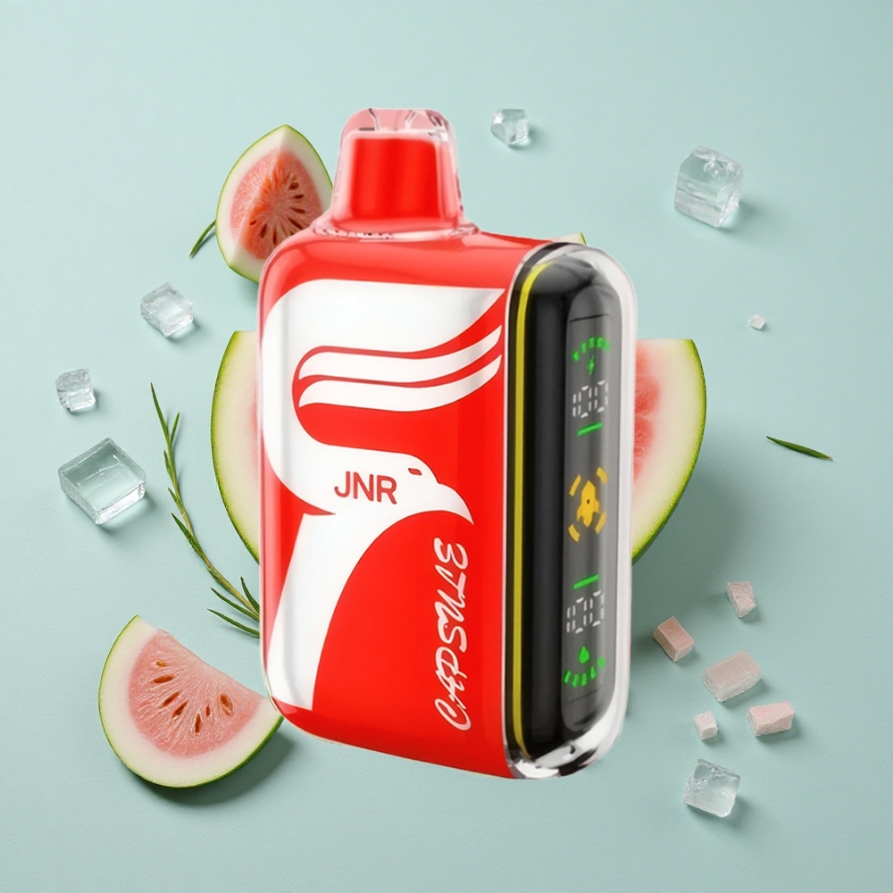 JNR Capsule 15000 Puffs Wassermelone Eis Dual Mesh Coil vape großhandel Deutschland