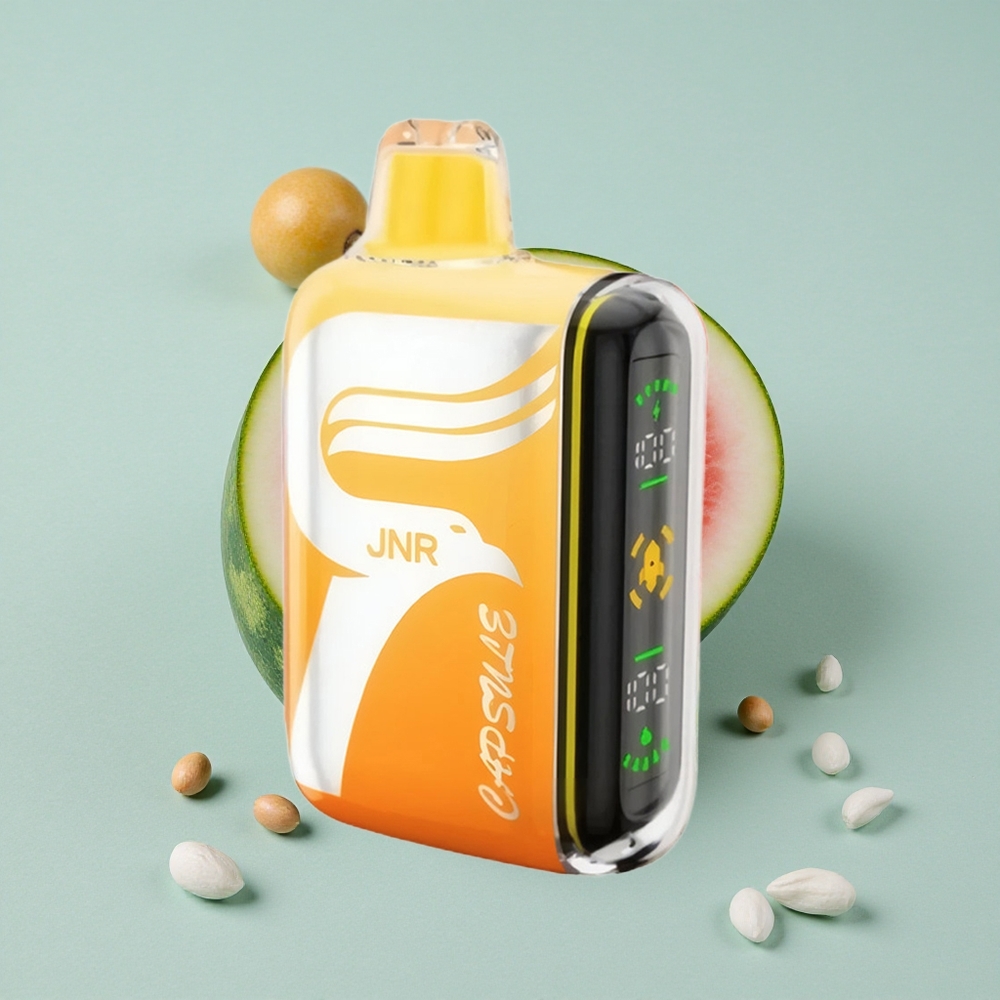 JNR Capsule 15000 Puffs Wassermelone Eistee Dual Mesh Coil vape großhandel Deutschland