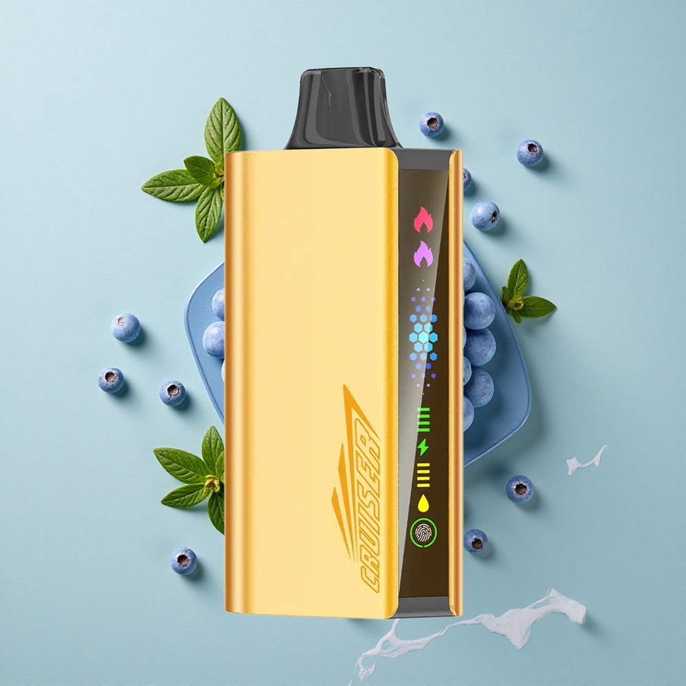 JNR Cruiser 12000 Puffs Blaubeer-Geschmack No-Charge Einweg-Vape mit 3500 mAh Akku vape großhandel Deutschland