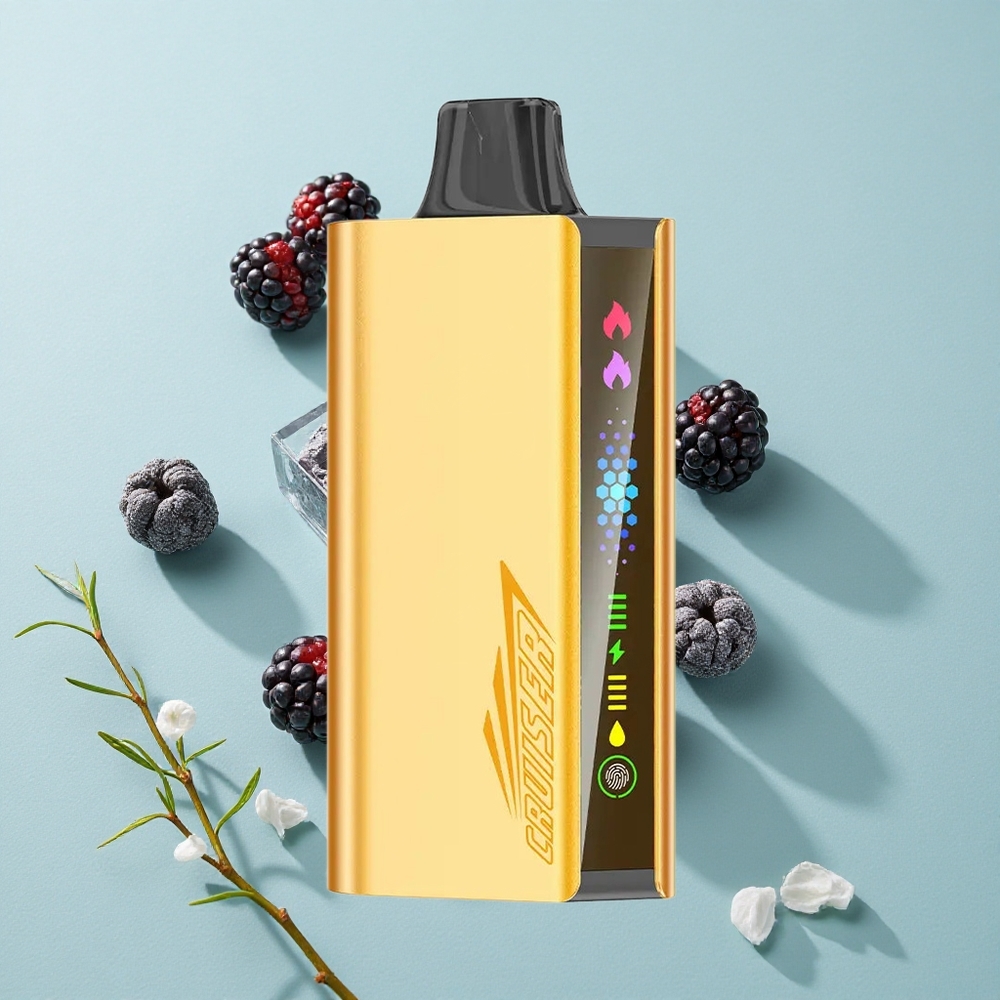 JNR Cruiser 12000 Puffs Brombeer-Eis No-Charge Einweg-Vape mit 3500 mAh Akku vape großhandel Deutschland