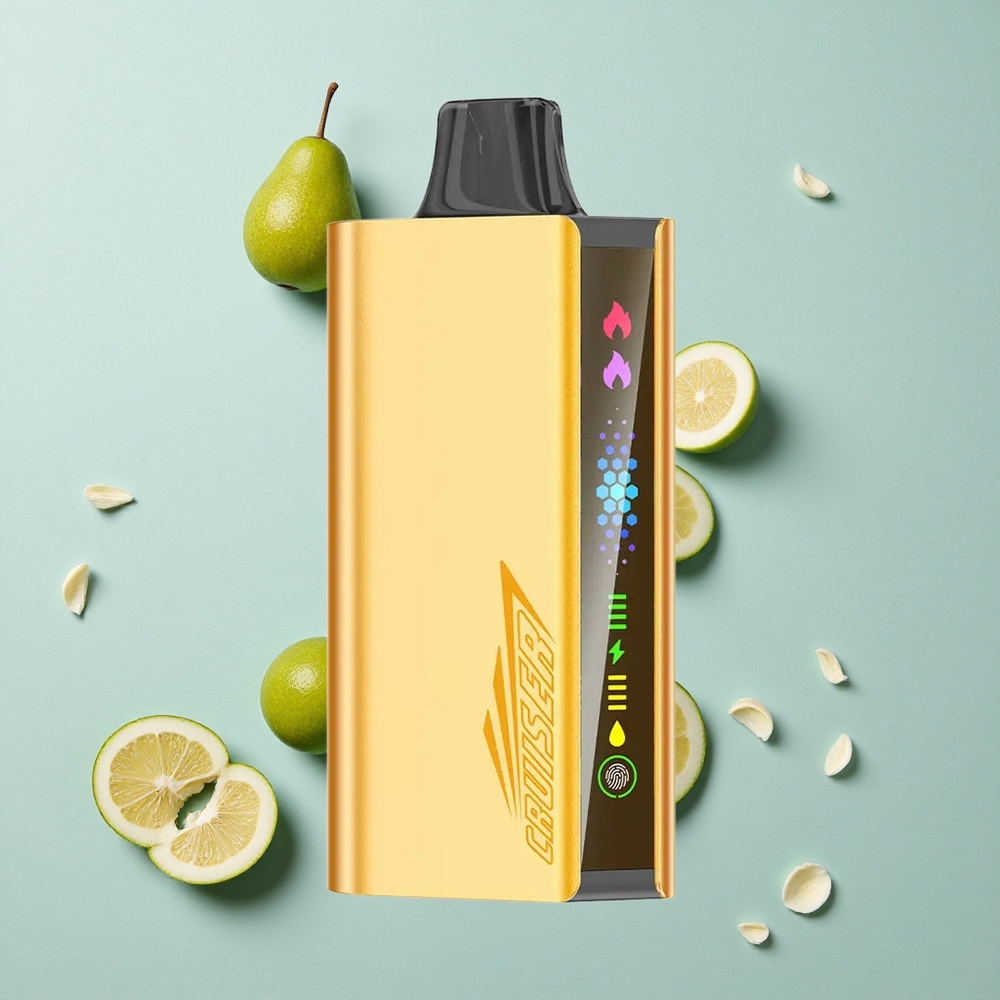 JNR Cruiser 12000 Puffs Cool Minze No-Charge Einweg-Vape mit 25ml E-Liquid vape großhandel Deutschland
