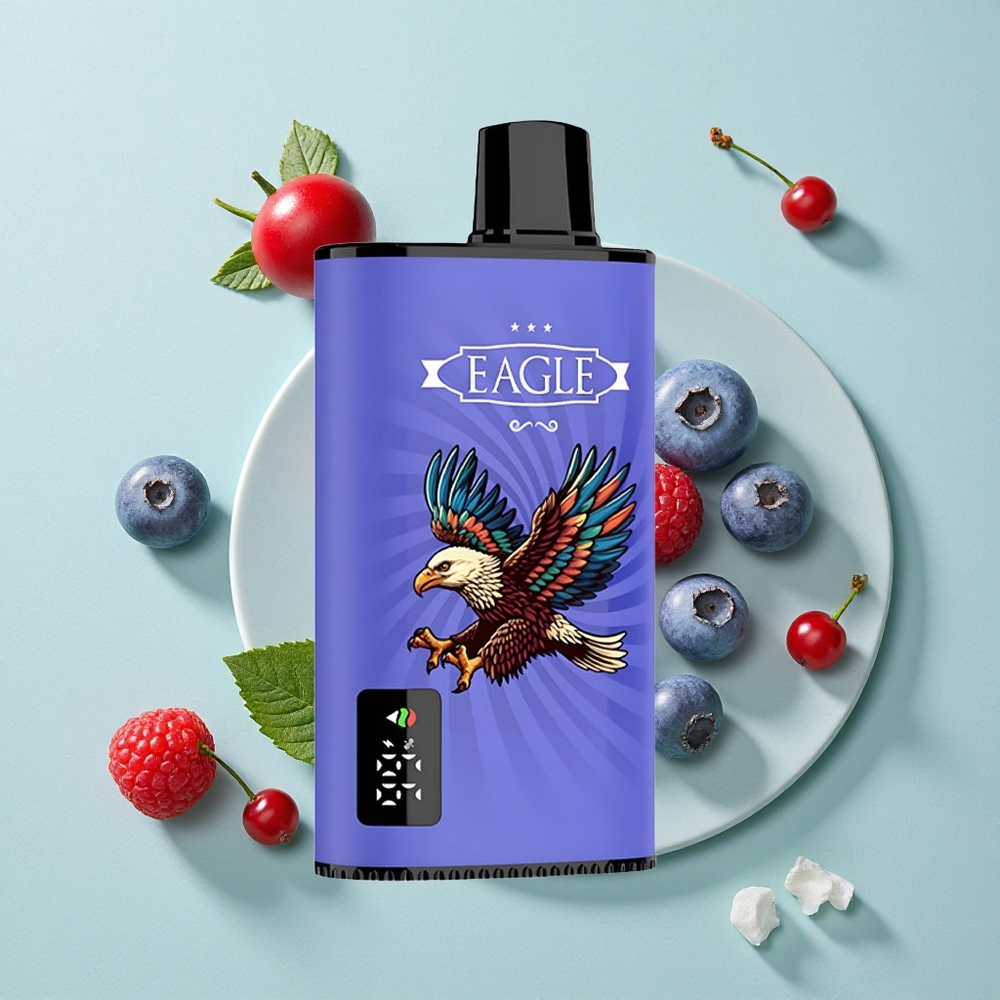 JNR EAGLE Smart 23000 Puffs Blaubeere Himbeere Kirsche Digitales Display Typ-C Ladeanschluss vape großhandel Deutschland