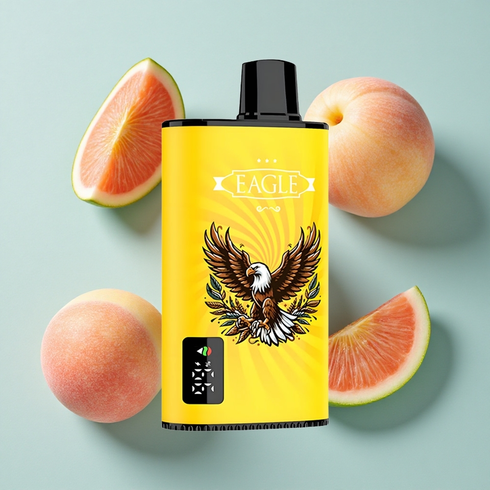 JNR EAGLE Smart 23000 Puffs Pfirsich Mango Wassermelone Digitales Display Typ-C-Ladeanschluss vape großhandel Deutschland
