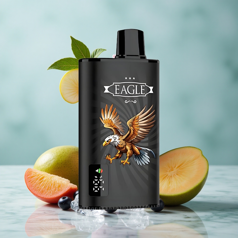JNR EAGLE Smart 23000 Puffs Schwarzbeere Mango Eis Digitales Display Typ-C Ladung vape großhandel Deutschland