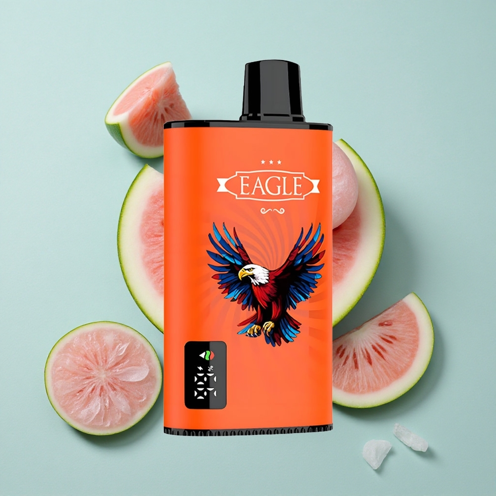 JNR EAGLE Smart 23000 Puffs Wassermelone Bubblegum Digital Display Typ-C Ladung vape großhandel Deutschland