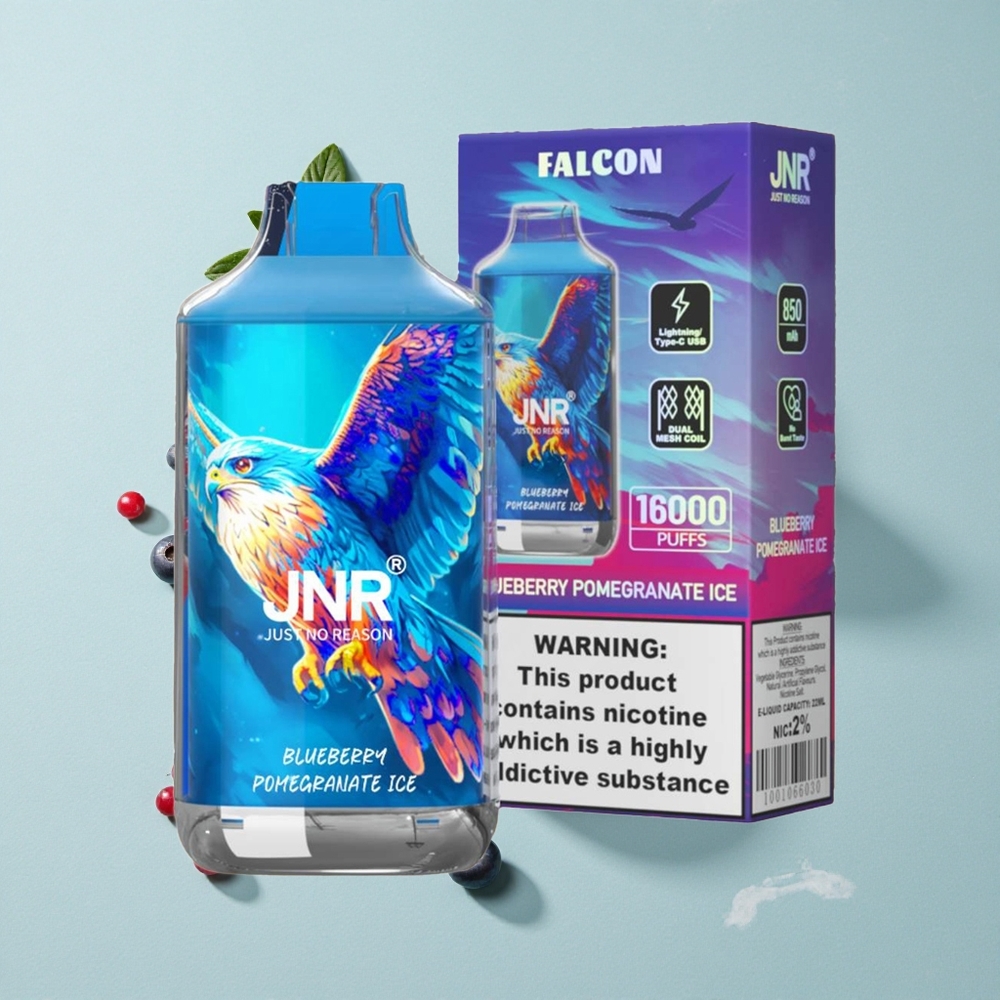 JNR Falcon 16000 Puffs Blaubeere Granatapfel Eis 850 mAh Dual Mesh Coil vape großhandel Deutschland