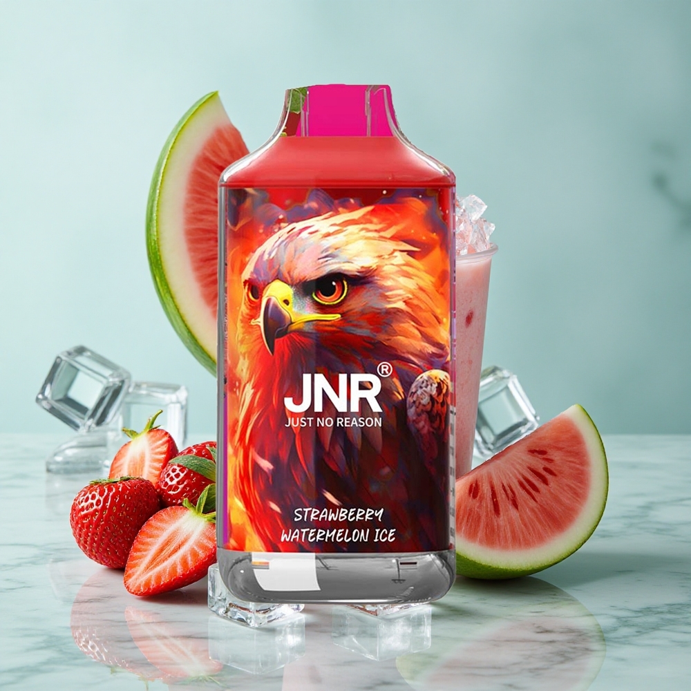 JNR Falcon 16000 Puffs Erdbeer Wassermelone Eis Dual Mesh Coil vape großhandel Deutschland