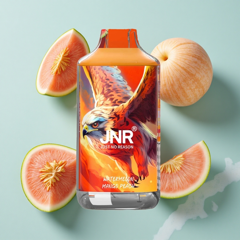 JNR Falcon 16000 Puffs Wassermelone Mango Pfirsich 22ml E-Liquid Dual Mesh Coil vape großhandel Deutschland