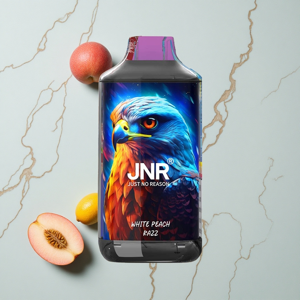 JNR Falcon 16000 Puffs Weißer Pfirsich Himbeere Dual Mesh Coil vape großhandel Deutschland