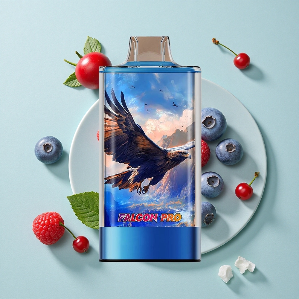 JNR Falcon Pro 28000 Himbeere Blaubeere Kirsche 30ml vape großhandel Deutschland