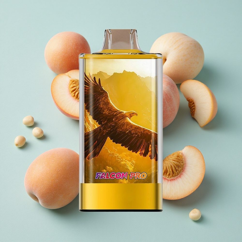 JNR Falcon Pro 28000 Juicy Pfirsiche 30ml vape großhandel Deutschland