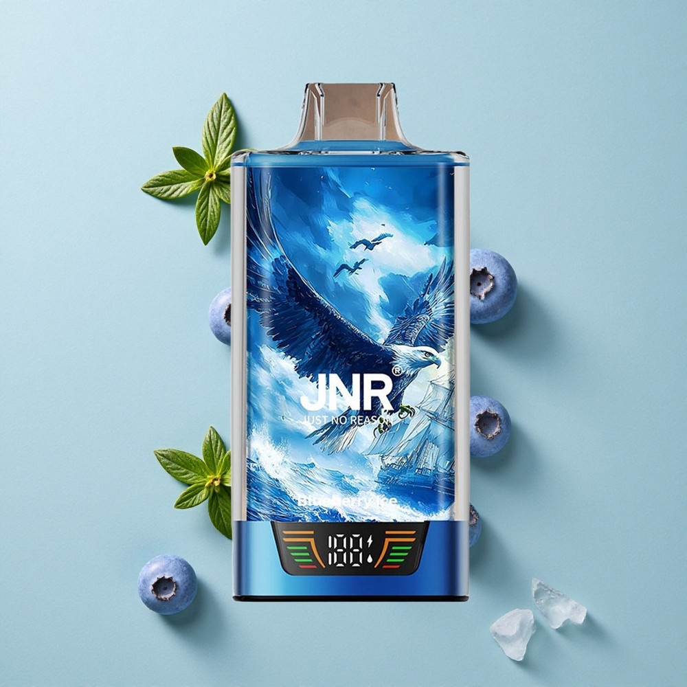JNR Falcon Pro 28000 Puffs Heidelbeer-Eis 30ml vape großhandel Deutschland