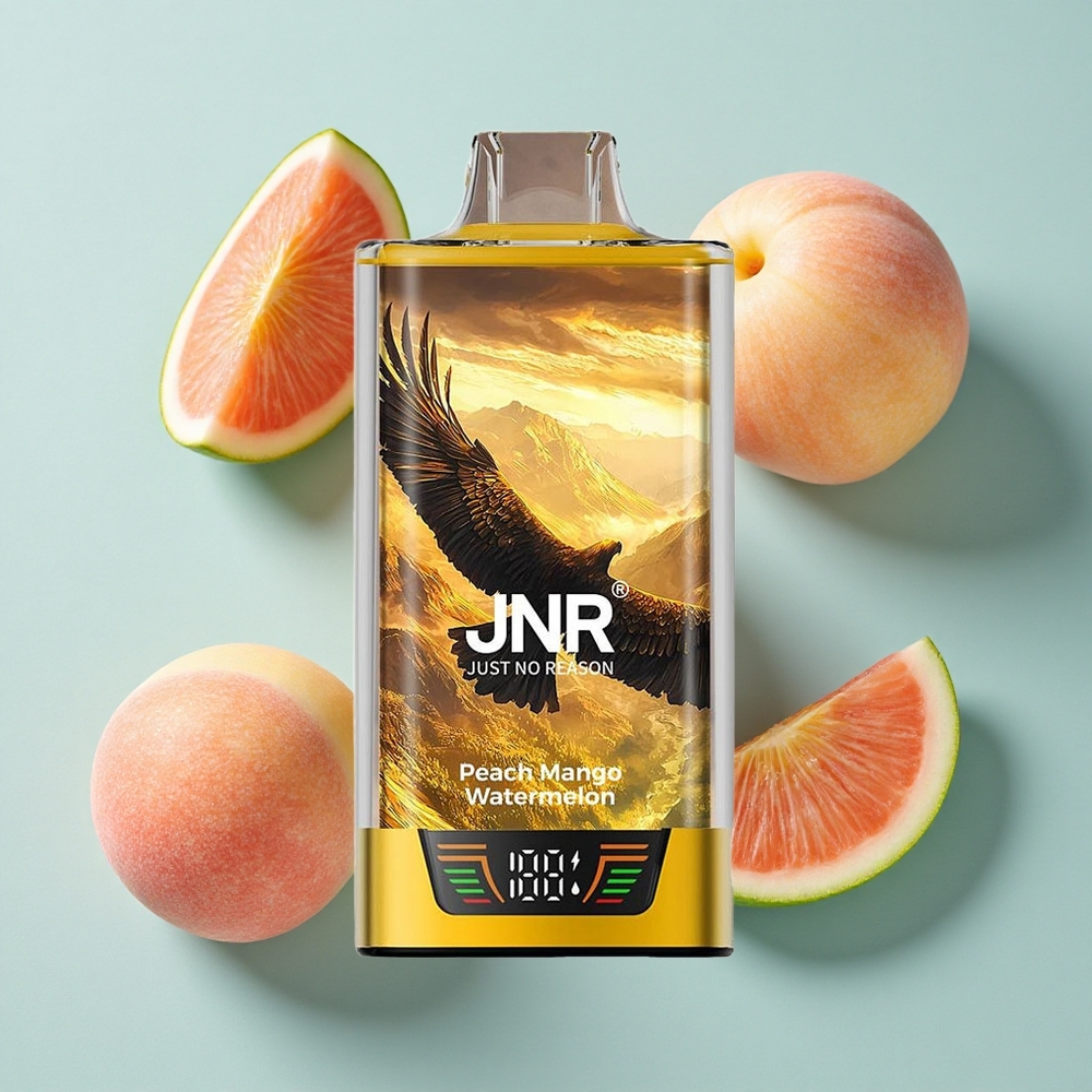 JNR Falcon Pro 28000 Puffs Pfirsich Mango Wassermelone 30ml vape großhandel Deutschland