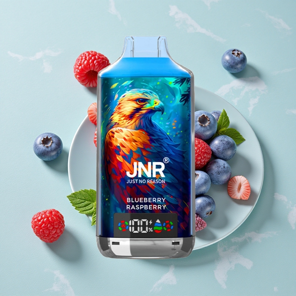 JNR Falcon X 18000 Puffs Blaubeere Himbeere Dual Mesh Coil Typ-C Schnellladung vape großhandel Deutschland