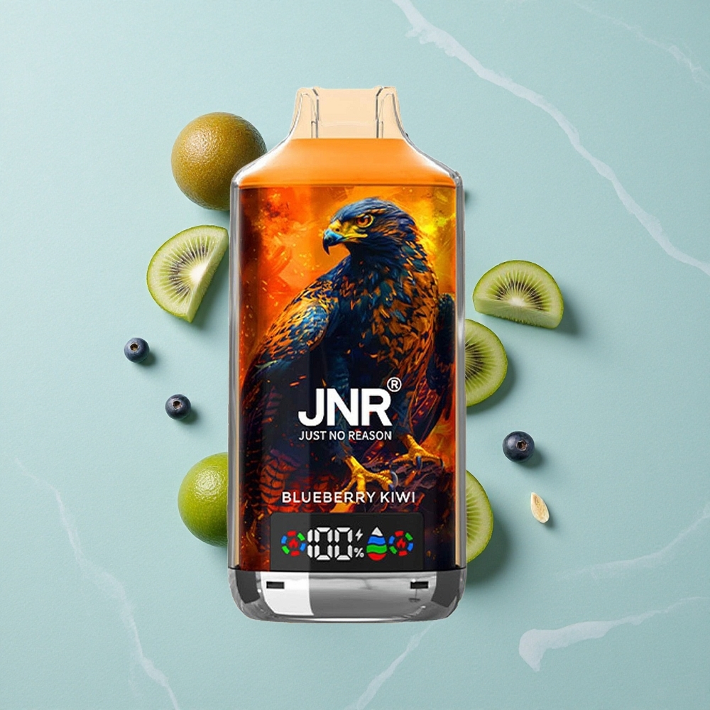 JNR Falcon X 18000 Puffs Blaubeere Kiwi 750mAh Typ-C vape großhandel Deutschland