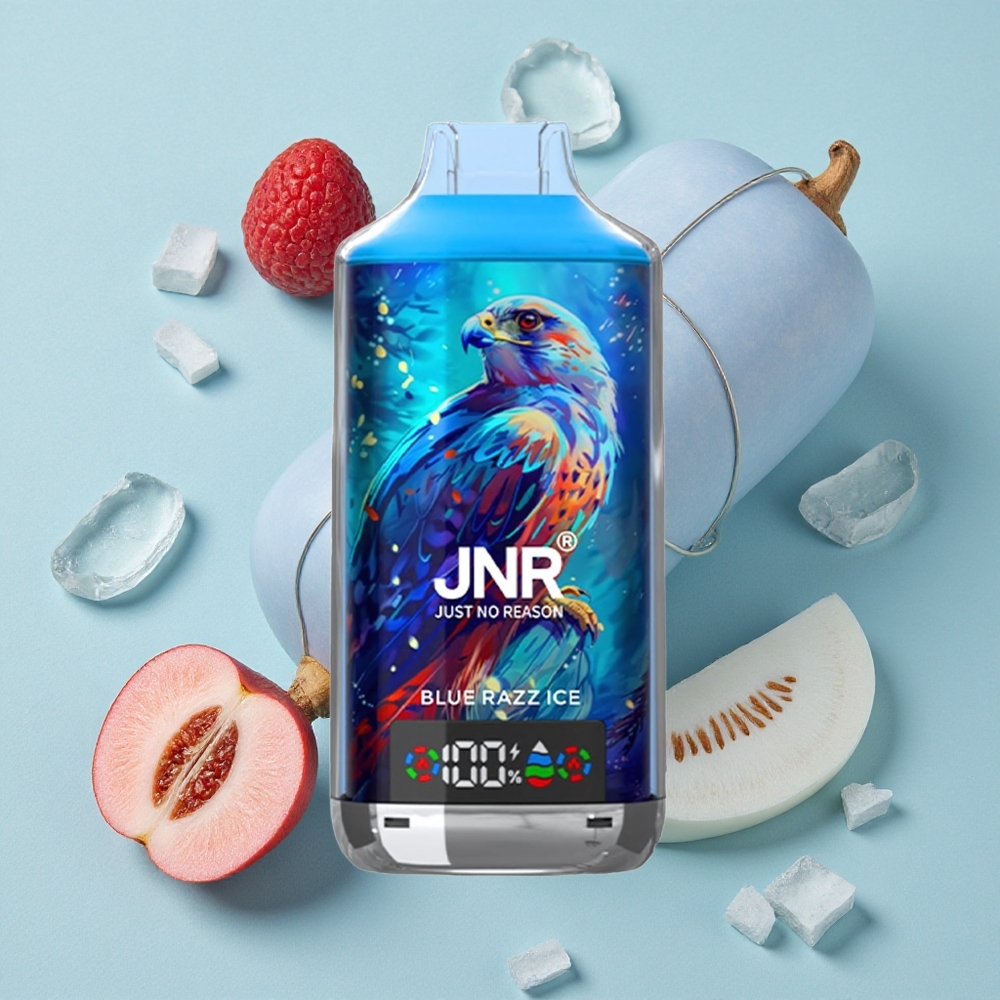 JNR Falcon X 18000 Puffs Blauer Himbeer-Eis Dual Mesh Coil vape großhandel Deutschland