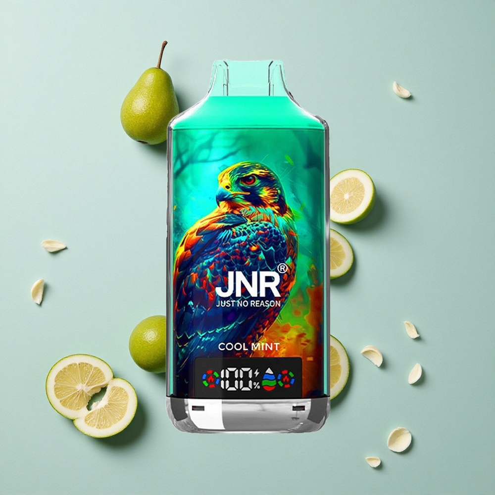 JNR Falcon X 18000 Puffs Cool Minze mit 24ml E-Liquid und Dual Mesh Coil vape großhandel Deutschland