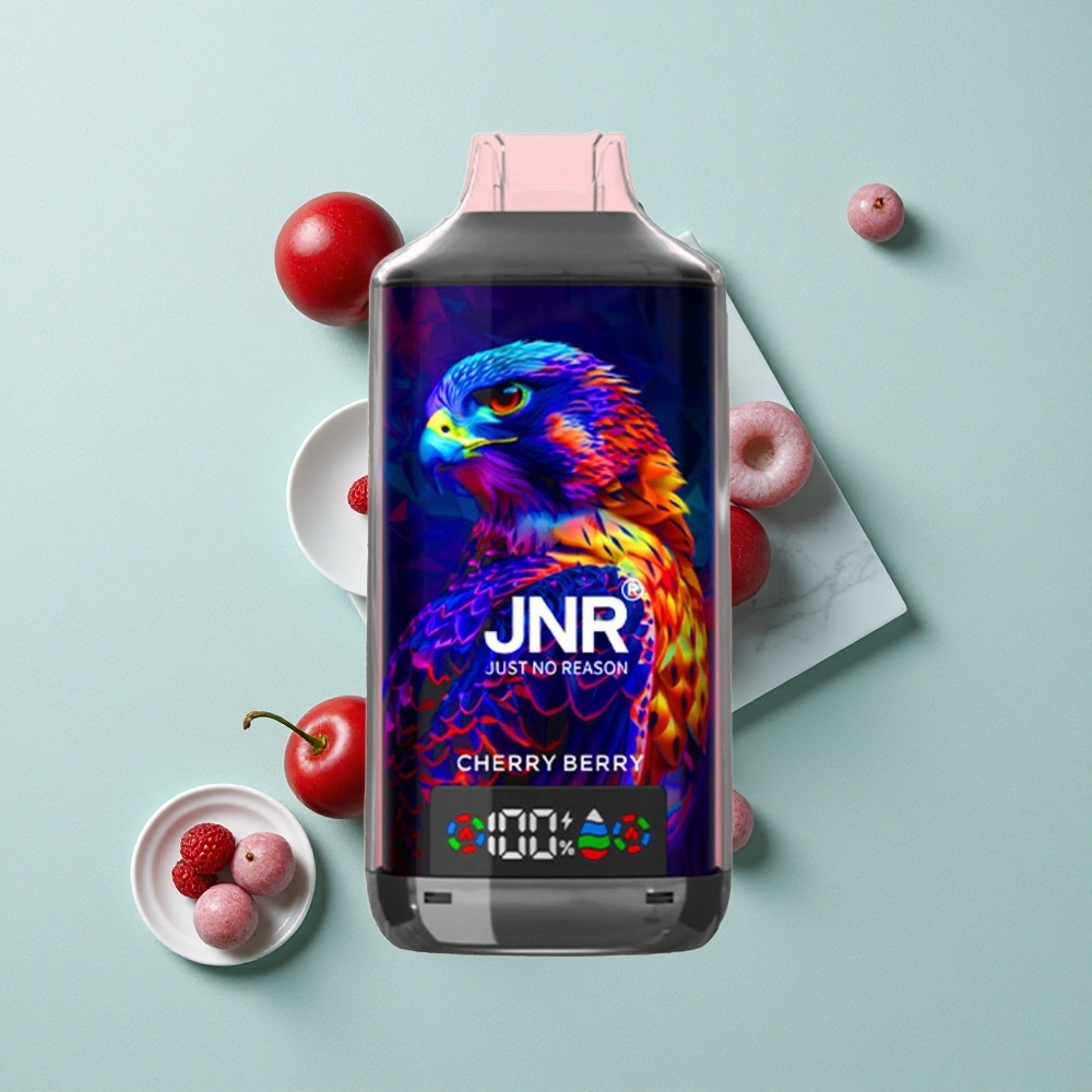 JNR Falcon X 18000 Puffs Kirsch-Beere 750mAkku 24ml vape großhandel Deutschland