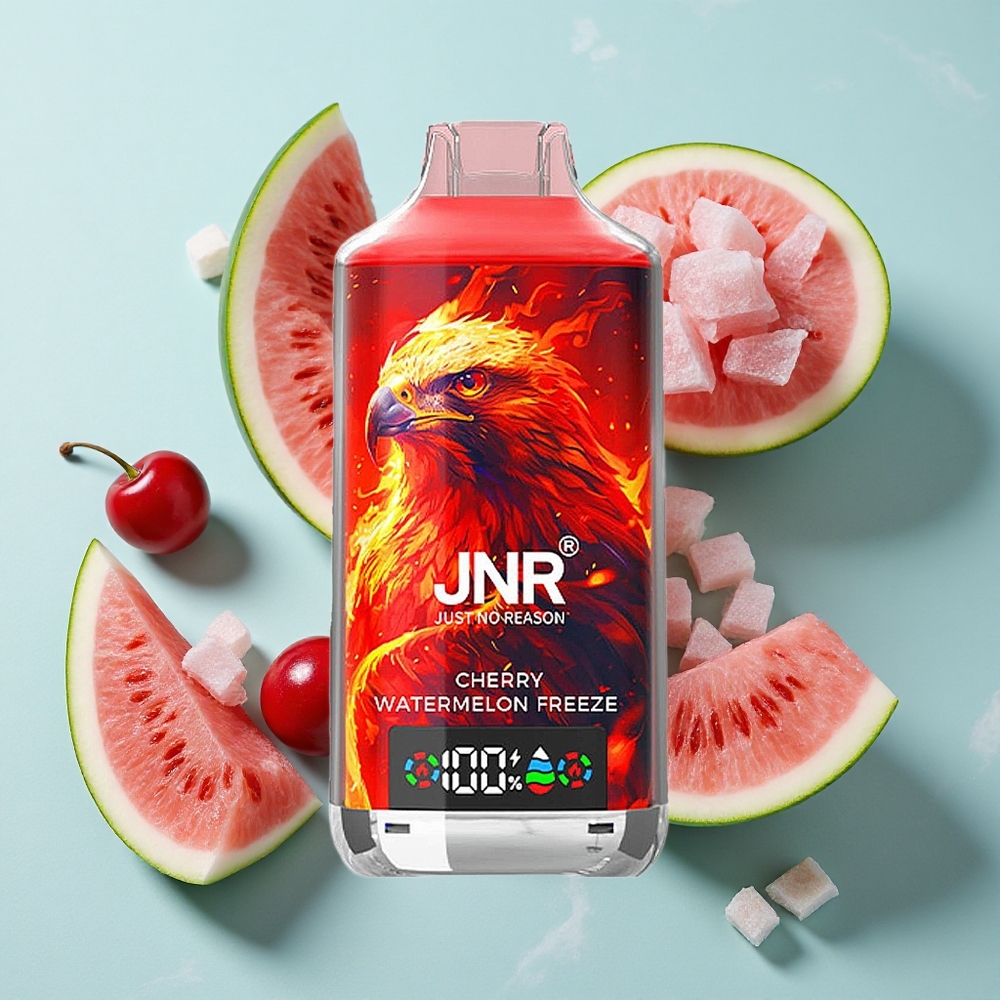 JNR Falcon X 18000 Puffs Kirsch-Wassermelonen-Eis Dual Mesh Coil vape großhandel Deutschland