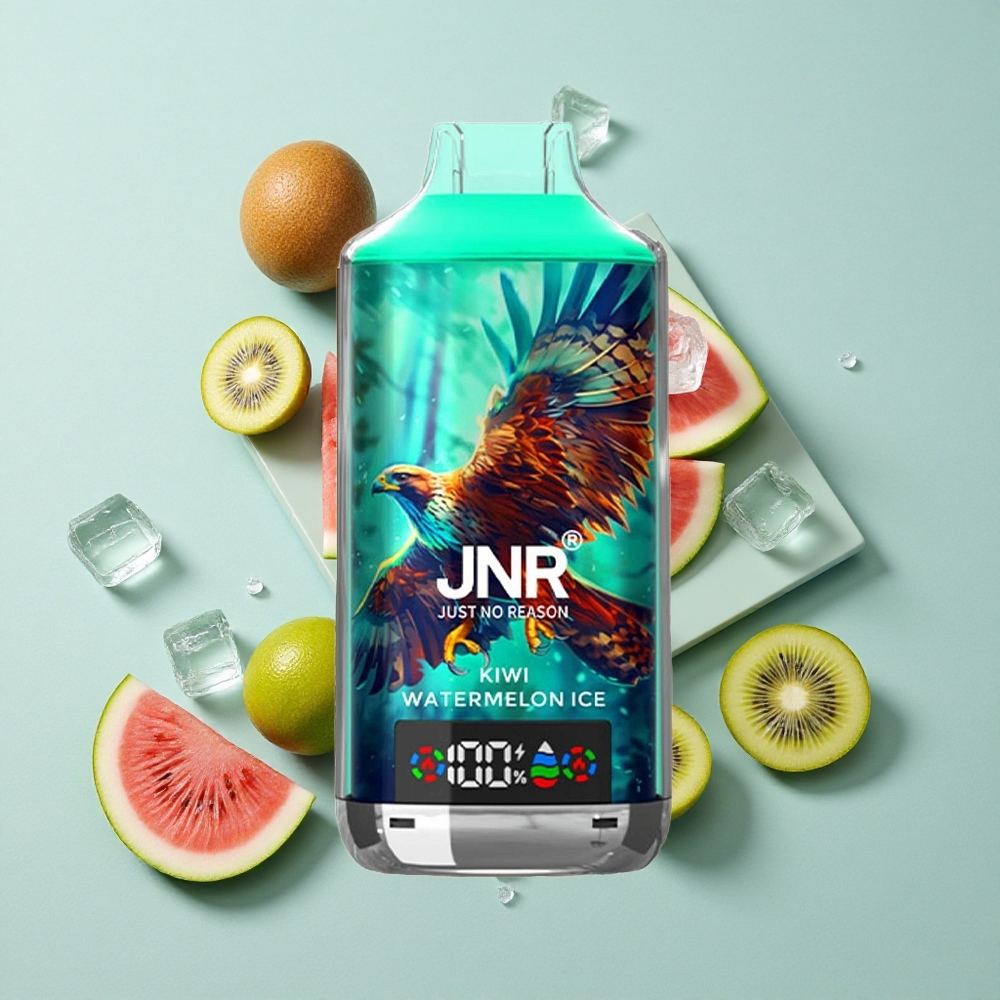 JNR Falcon X 18000 Puffs Kiwi Wassermelone Eis Digital Display Typ-C Schnellladung vape großhandel Deutschland