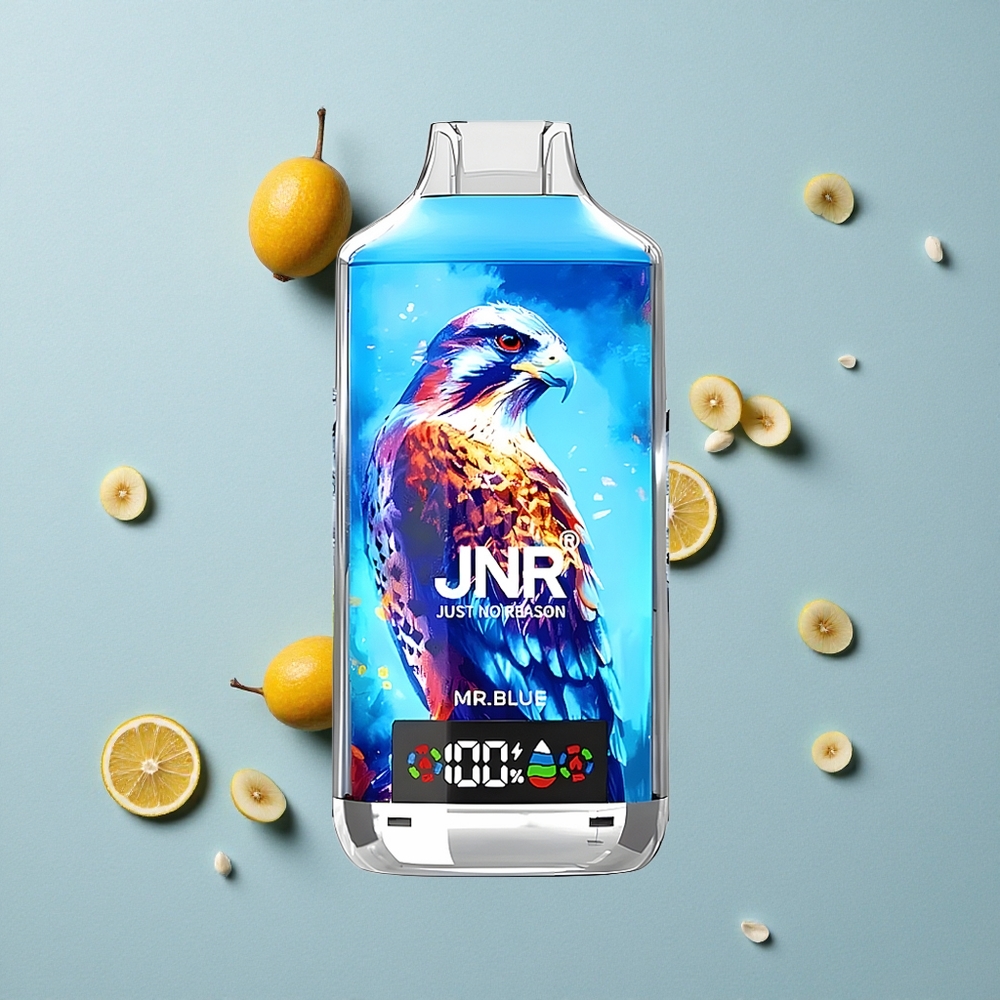 JNR Falcon X 18000 Puffs Mr Blau Dual Mesh Coil vape großhandel Deutschland