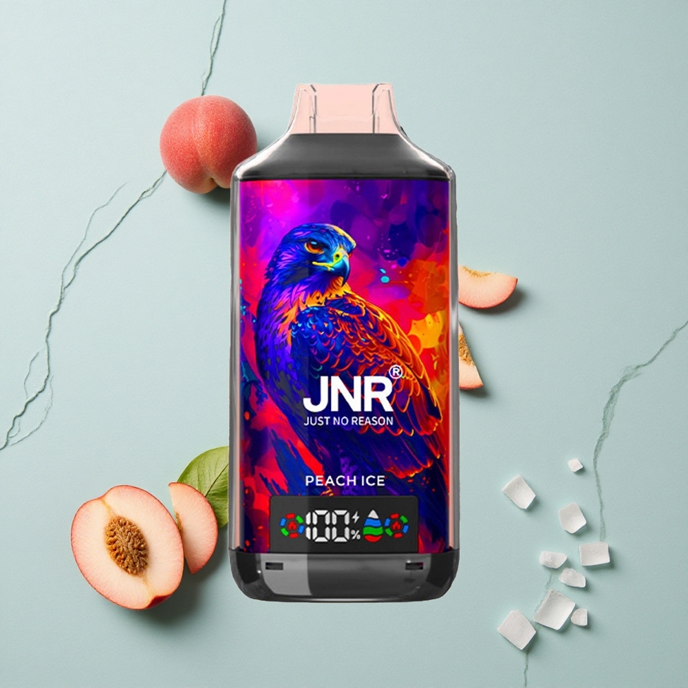 JNR Falcon X 18000 Puffs Pfirsich Eis Dual Mesh Coil vape großhandel Deutschland