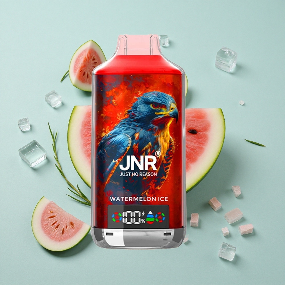 JNR Falcon X 18000 Puffs Wassermelone Eis 24ml Digital Display vape großhandel Deutschland