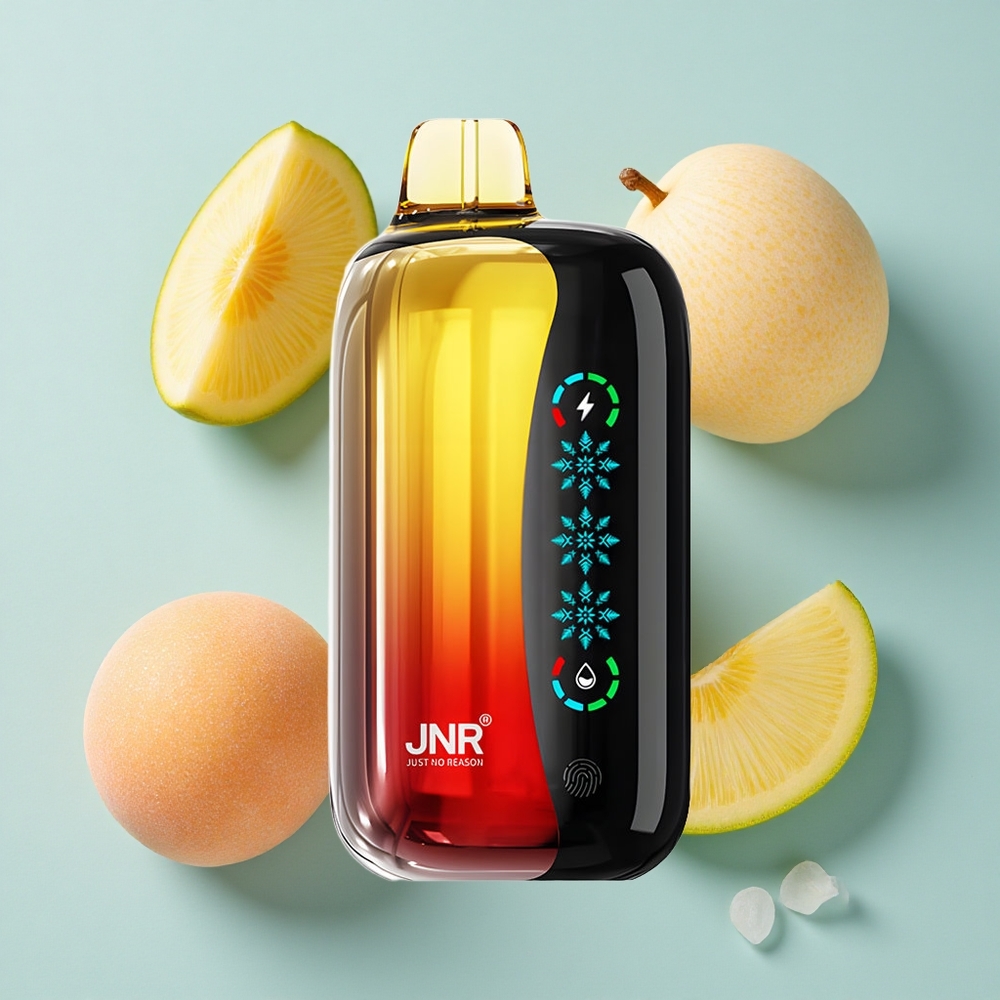 JNR Flex Ice 21000 Puffs Pfirsich Mango Ananas Eiskühlung vape großhandel Deutschland