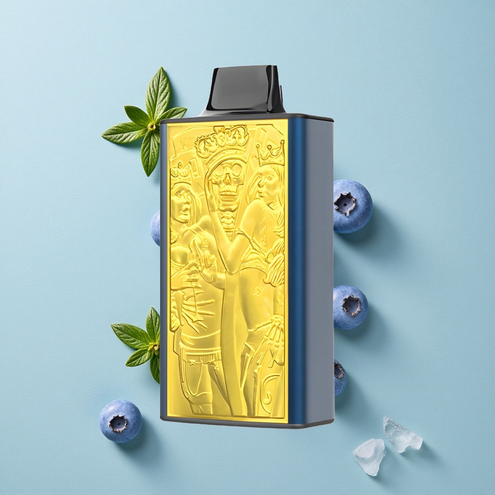 JNR Mega Box 25000 Puffs Blaubeer-Eis 30ml E-Liquid vape großhandel Deutschland