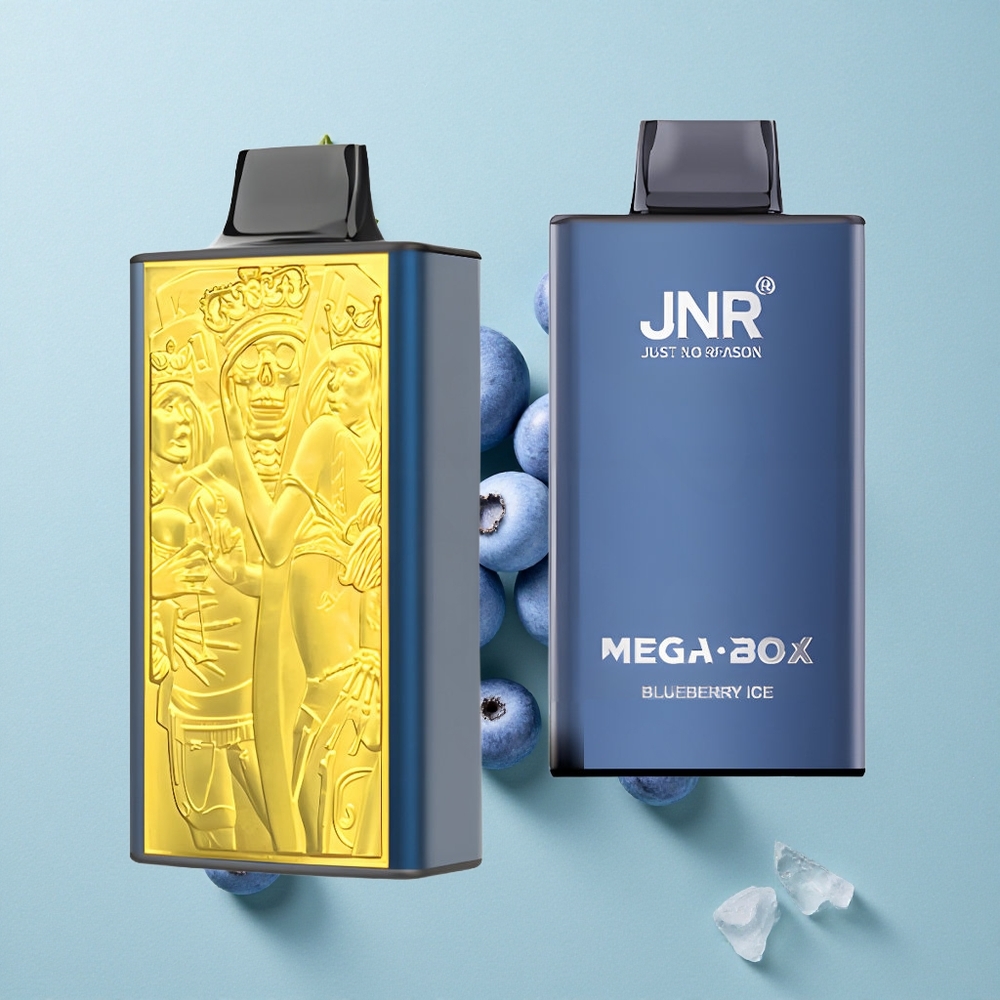 JNR Mega Box 25000 Puffs Blaubeer-Eis 30ml E-Liquid vape großhandel Deutschland