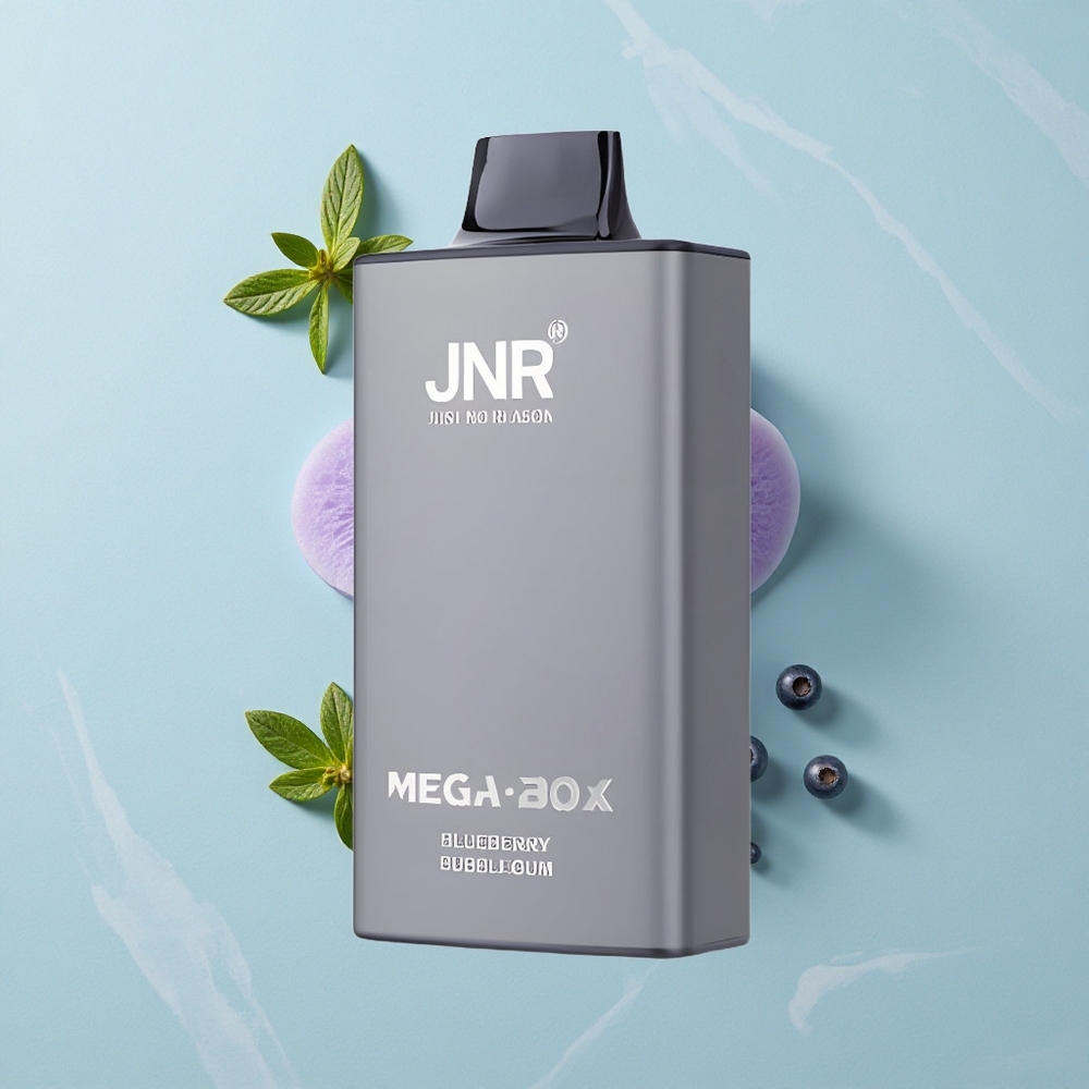 JNR Mega Box 25000 Puffs Blaubeere Bubblegum 30ml Vape großhandel Deutschland