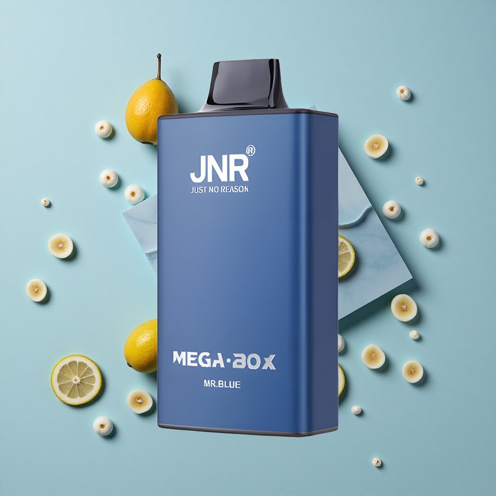 JNR Mega Box 25000 Puffs Einweg-Vape Herr Blau 30ml E-Liquid vape großhandel Deutschland