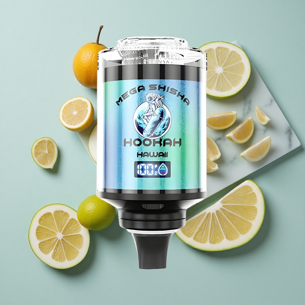 JNR Mega Shisha Hookah 100K Hawaii Typ-C Schnellladung Interactive Smart Screen vape großhandel Deutschland