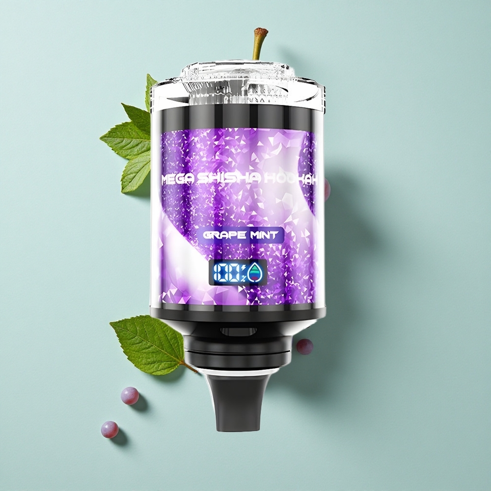 JNR Mega Shisha Hookah 100K Traube Minze 60ml e-Liquid Typ-C vape großhandel Deutschland