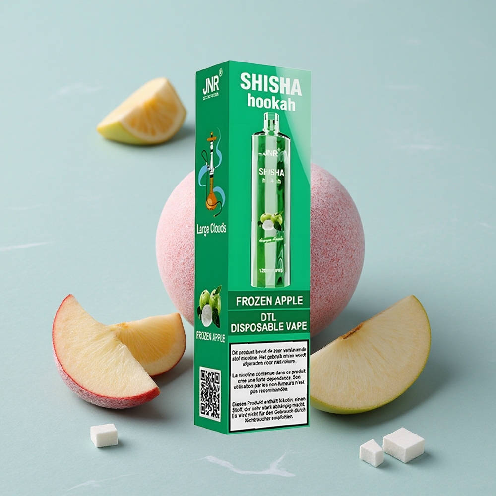JNR Shisha Hookah 12000 Puffs Gefrorener Apfel 750mAh Typ-C vape großhandel Deutschland