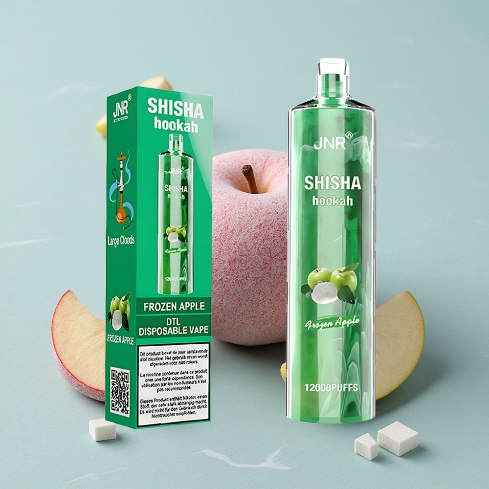 JNR Shisha Hookah 12000 Puffs Gefrorener Apfel 750mAh Typ-C vape großhandel Deutschland