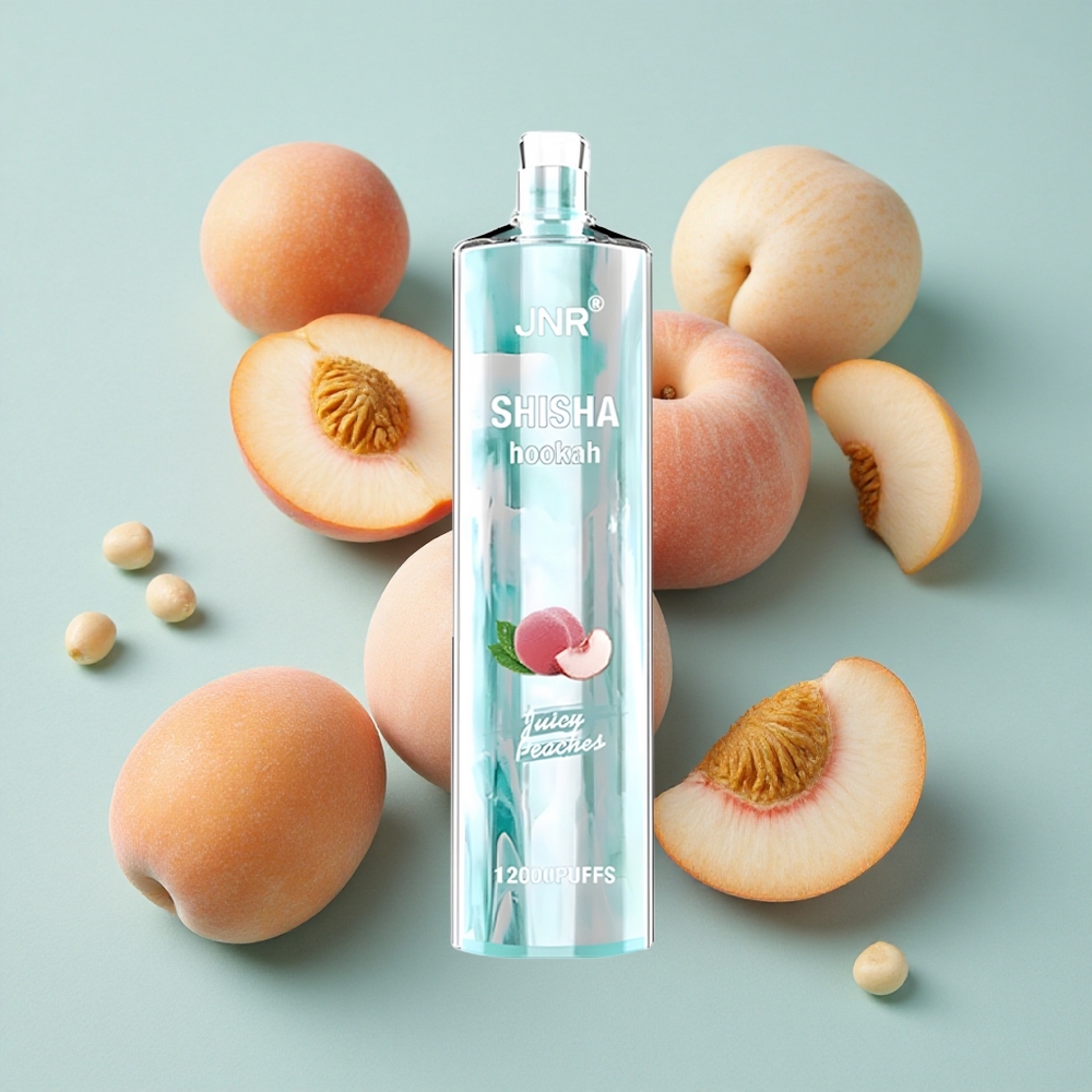 JNR Shisha Hookah 12000 Puffs Juicy Peaches (Saftige Pfirsiche) 24ml E-Liquid vape großhandel Deutschland