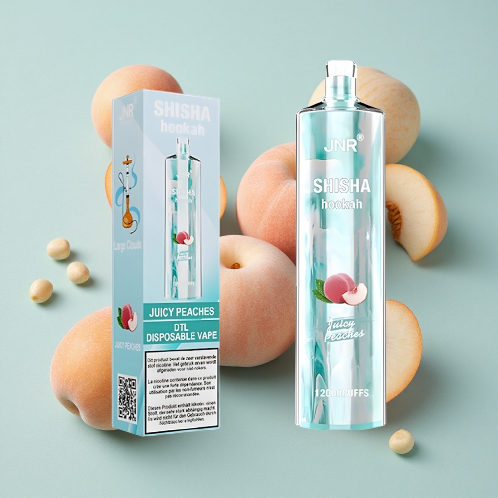 JNR Shisha Hookah 12000 Puffs Juicy Peaches (Saftige Pfirsiche) 24ml E-Liquid vape großhandel Deutschland