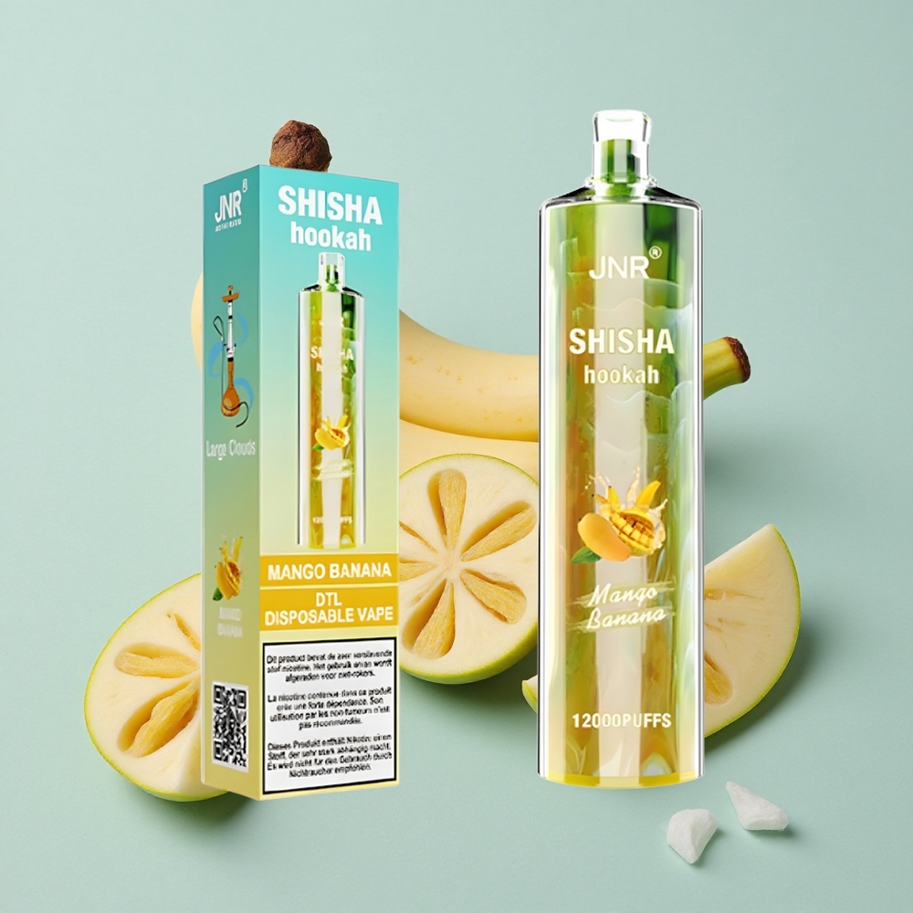 JNR Shisha Hookah 12000 Puffs Mango Banane 24ml e-Liquid Type-C vape großhandel Deutschland