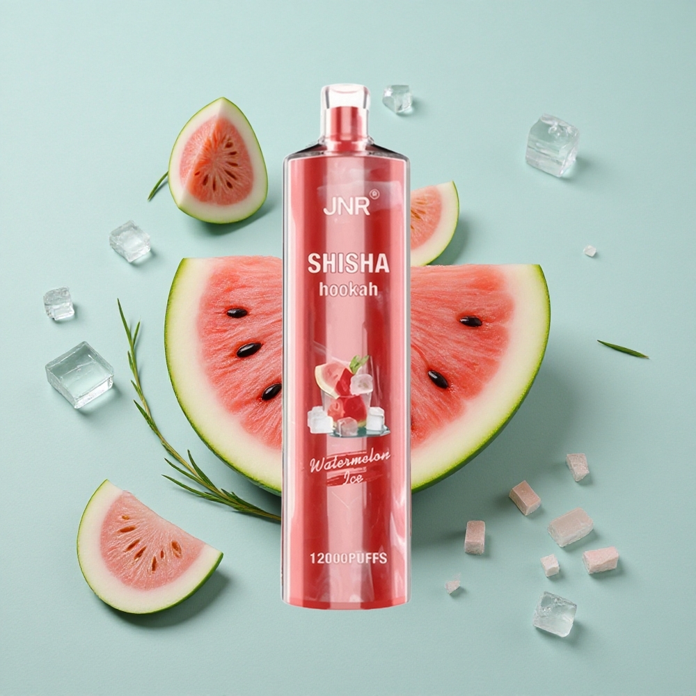 JNR Shisha Hookah 12000 Puffs Wassermelone-Eis 750mAh Typ-C vape großhandel Deutschland