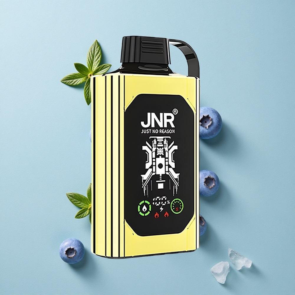 JNR Shisha Hookah Box 20500 Puffs Blaubeer-Eis Dual Mesh Coil vape großhandel Deutschland